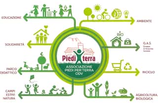 PIEDI PER TERRA ODV