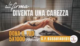 Podenco's Angeles Rescue Organizzazione non lucrativa di utilita' sociale ODV