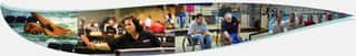 PO.HA.FI. POLISPORTIVA HANDICAPPATI FIORENTINI ASD APS