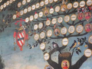 FONDAZIONE CORSINI - ENTE DEL TERZO SETTORE
