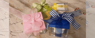 PROGETTO PULCINO - ETS