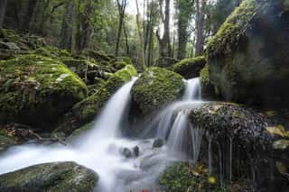 ASSOCIAZIONE TURISTICA PRO LOCO DI CAMPO NELL' ELBA APS