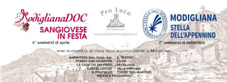 PRO LOCO DI MODIGLIANA APS