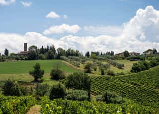 PRO LOCO SAN VINCENZO A TORRI COLLINE SCANDICCESI APS