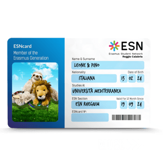 ERASMUS STUDENT NETWORK REGGIO CALABRIA ETS
