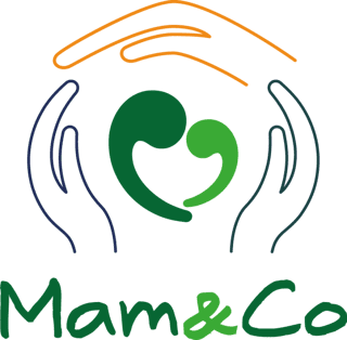 MAM & CO - ASSOCIAZIONE DELLE STRUTTURE E DEI SERVIZI PER NUCLEI MONOGENITORIALI IN SITUAZIONE DI VULNERABILITA' SOCIALE ETS