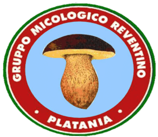 GRUPPO MICOLOGICO REVENTINO APS
