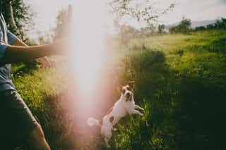 ASSOCIAZIONE AMICI DEL CANE ODV