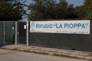LEGA NAZIONALE PER LA DIFESA DEL CANE SEZIONE DI FORLI' ODV
