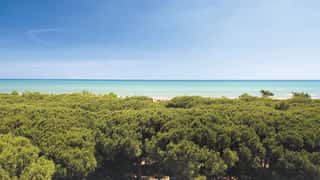 PRO LOCO RIVIERA DEI PINI APS