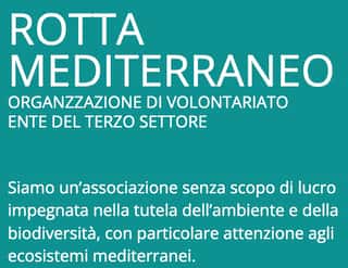 ROTTA MEDITERRANEO ODV