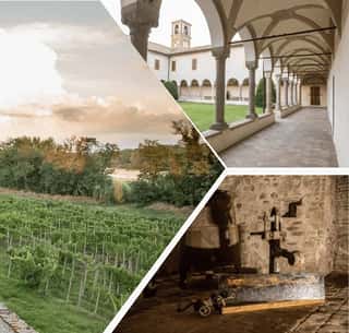 SENTIERO D'ARTE TORRECHIARA-LANGHIRANO ODV