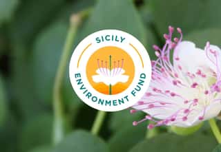 SICILY ENVIRONMENT FUND ETS, IN FORMA ABBREVIATA, SEF ETS