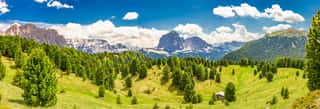 SLOW FOOD ALTO ADIGE SUEDTIROL APS