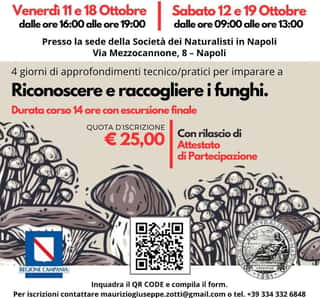 ASSOCIAZIONE SOCIETA DEI NATURALISTI IN NAPOLI - APS