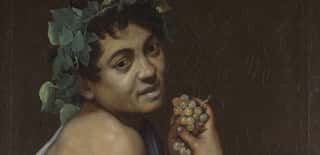 SOCIETA' PER IL PALAZZO DUCALE DI MANTOVA - APS