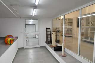 ORGANIZZAZIONE S.O.S. RANDAGI ODV