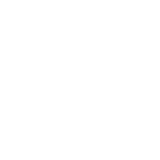 ASSOCIAZIONE CULTURALE SPAZIO MARTE APS