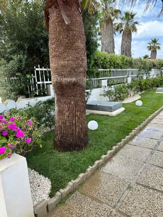 TERRA VERDE - ASSOCIAZIONE DI PROMOZIONE SOCIALE