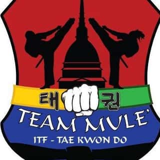 asd Team MULE'