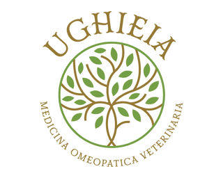 UGHIEIA -APS
