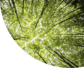CI SARA' UN BEL CLIMA