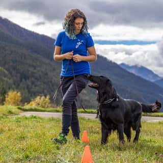 UNDERDOG TRAINING