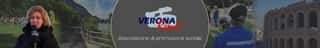 VERONA REPORT APS