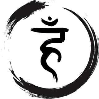 VISHUDDHA - IL QUINTO CHAKRA APS