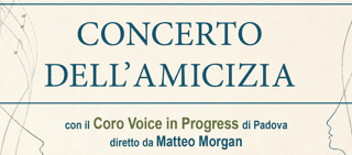 CORO VOICE IN PROGRESS APS