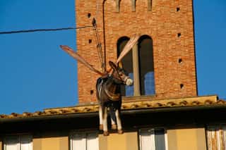 COMPAGNIA DI SANT'ANDREA - VOLO DEL CIUCO - ODV