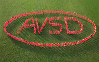 ASSOCIAZIONE VOLONTARI DEL SOCCORSO ODV