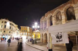 WWF VERONESE - ODV