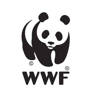 ODV WWF UMBRIA ETS