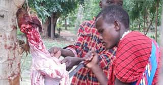 L'AFRICA PER MANO ODV