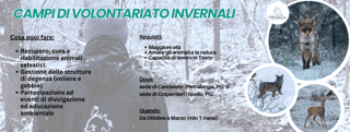 WILDUMBRIA APS