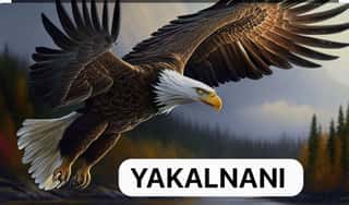 ASSOCIAZIONE YAKALNANI ETS