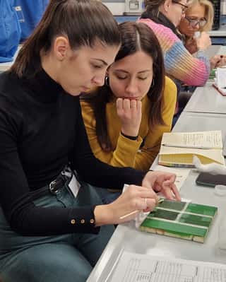 YOUTH IN CONSERVATION OF CULTURAL HERITAGE