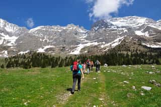ATTIVAMENTE MONTAGNA ODV