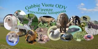 GABBIE VUOTE ODV