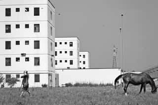 Associazione Salto Oltre il Muro Asd - Centro studi relazione uomo cavallo Onlus