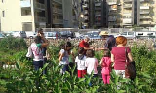 Movimento per la Decrescita Felice