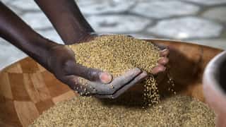 ASeS - Agricoltori Solidarietà e Sviluppo