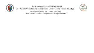 NUCLEO DI VOLONTARIATO E PROTEZIONE CIVILE  A.N.C. DI ZEVIO-RONCO ALL'ADIGE ODV