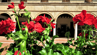 AMICI DELLA CASCINA RISCATTO ODV