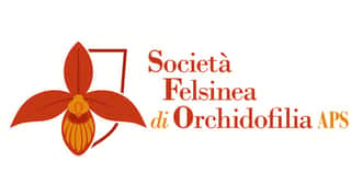 SOCIETA' FELSINEA DI ORCHIDOFILIA-APS