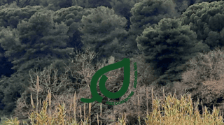 AGROSILVAE Associazione di Promozione Sociale
