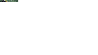 Fondazione Milan Onlus