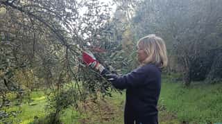 FONDAZIONE MANUDONNA ENTE DEL TERZO SETTORE