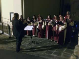 Alma Pisarum APS